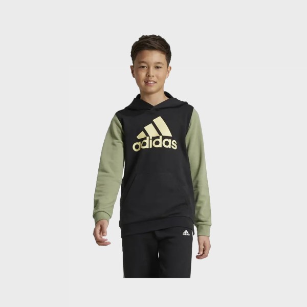 Adidas Sportswear Essentials Big Logo Hooded Εφηβικη Φουτερ Πρασινο - Μαυρο