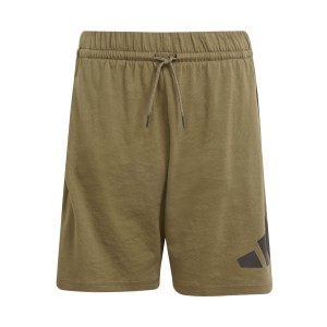Adidas Sportswear Big Logo Knee Lenght Unisex Εφηβικη Βερμουδα Χακι
