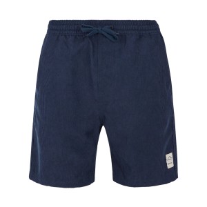 Protest PRTULEY Corduroy Fabric Back Pockets Κοτλε Ανδρικη Βερμουδα Μπλε