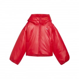 Puma Wardrobe Ess Shiny Hooded Padded J