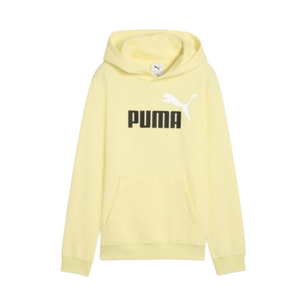 Puma Essentials 2 Logo NO1 Hooded Color Εφηβικο Φουτερ Κιτρινο