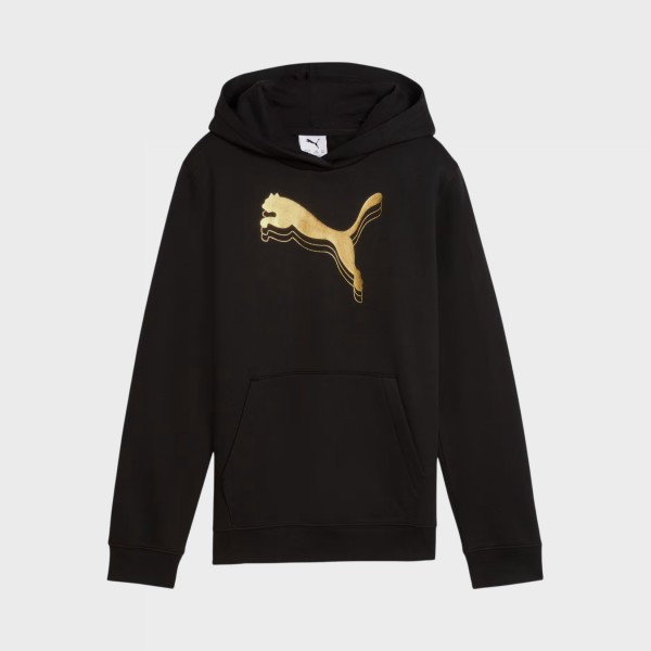 Puma Essentials Metallic FL Hooded Παιδικη Φουτερ Μαυρη