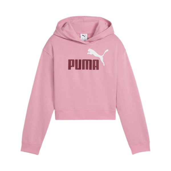 Puma Essentials 2 Logo FleeceHooded Κοριτσιστικο Εφηβικο Φουτερ Ροζ