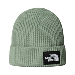 The North Face Salty Lined Beanie Unisex Σκουφος Πρασινο