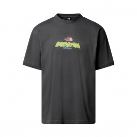 The North Face Expedition Graphic Back Ανδρικη Μπλουζα Γκρι