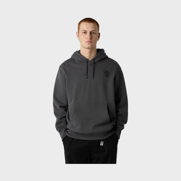The North Face Powder Days Relaxed HD Ghraphic Ανδρικο Φουτερ Γκρι